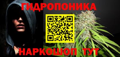скорость Обь