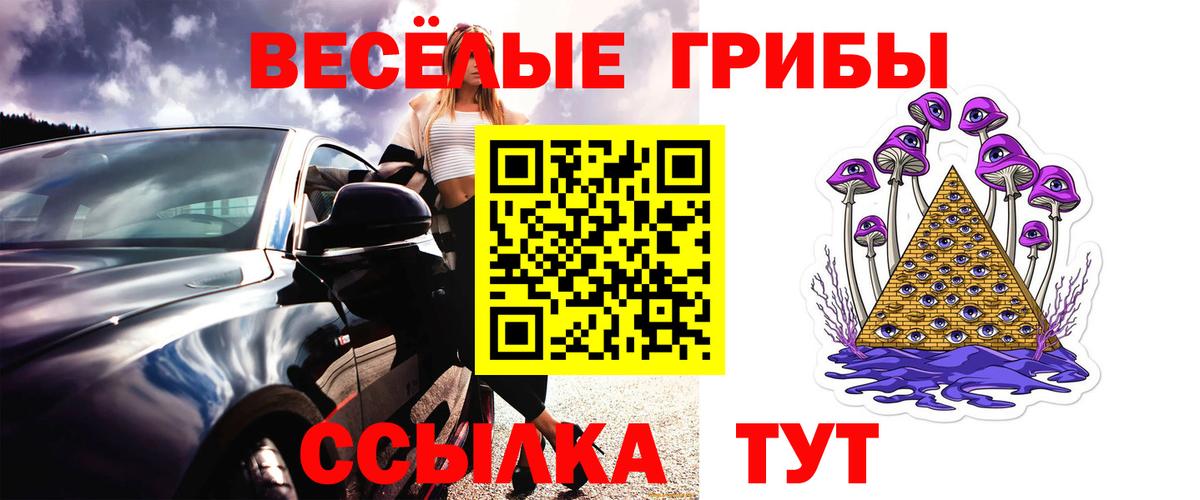 Галлюциногенные грибы Cubensis Удомля
