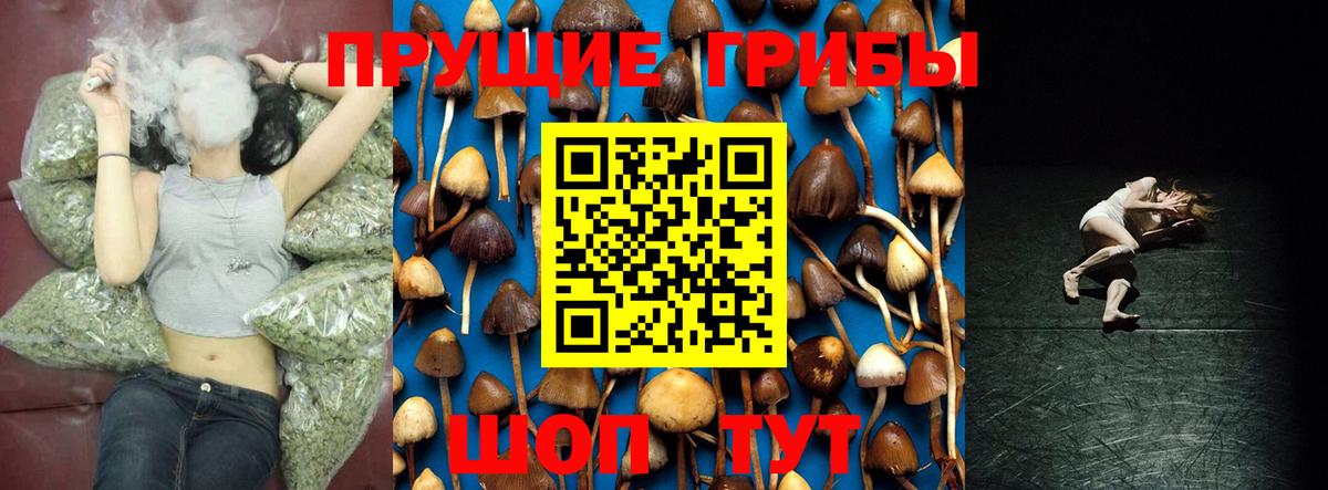 как найти закладки  Псилоцибиновые грибы Magic Shrooms  Вход с VPN  Удомля 